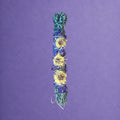 Troisième œil — Armoise & Lotus bleu