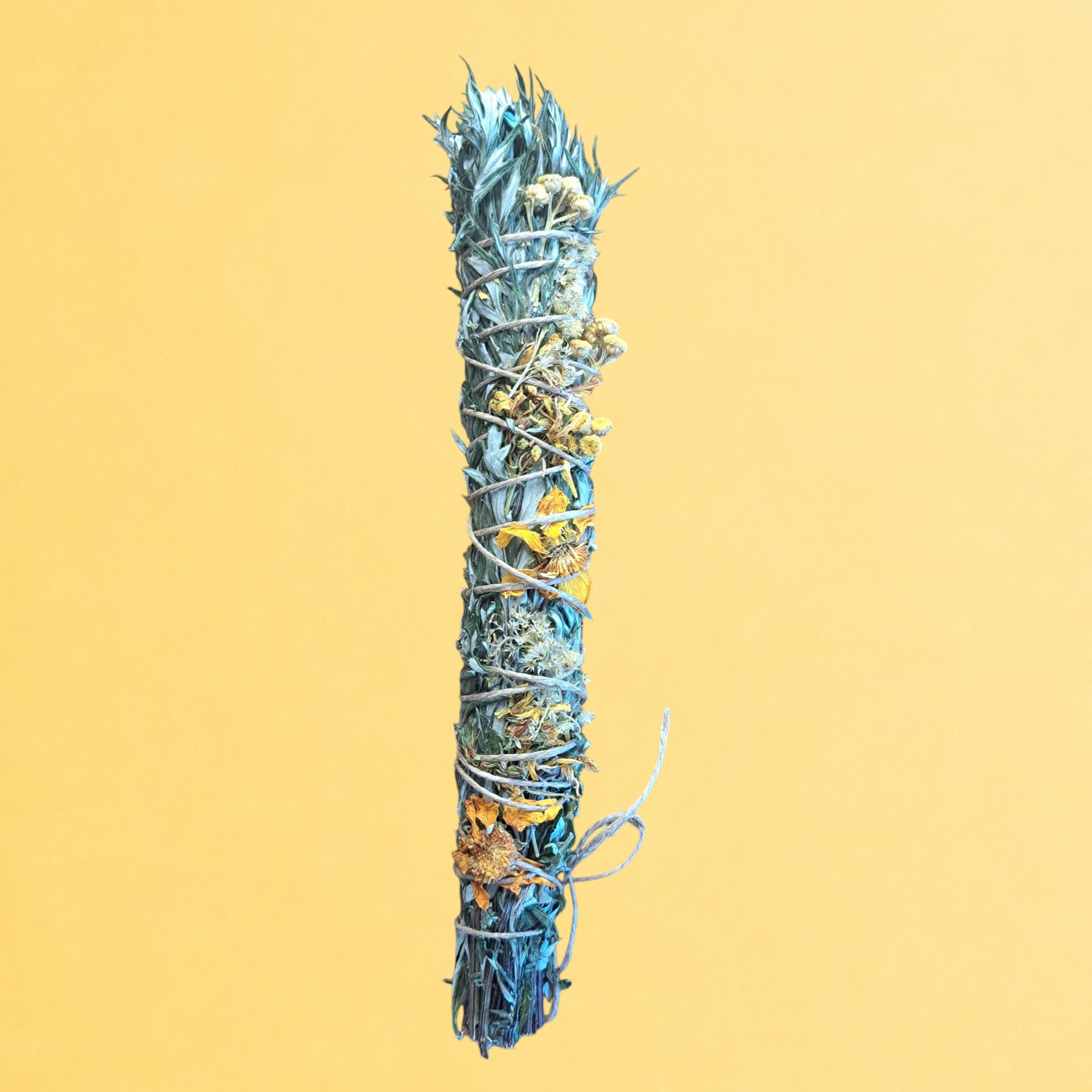 Plexus solaire — Armoise, Millepertuis, Chrysanthème & Tanaisie